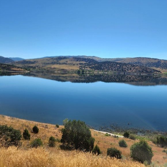 Sweet Dreams! - Picture 3 of 4